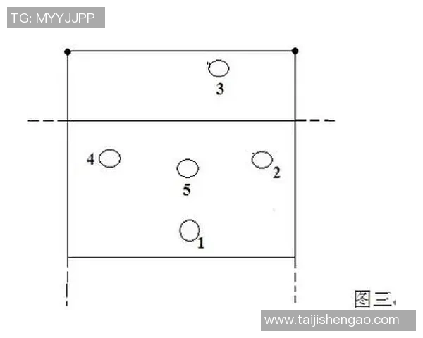 南京排球队的战术解析与控制能力深度剖析